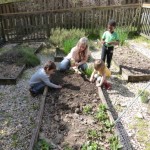 Garden - Working with a Teacher
